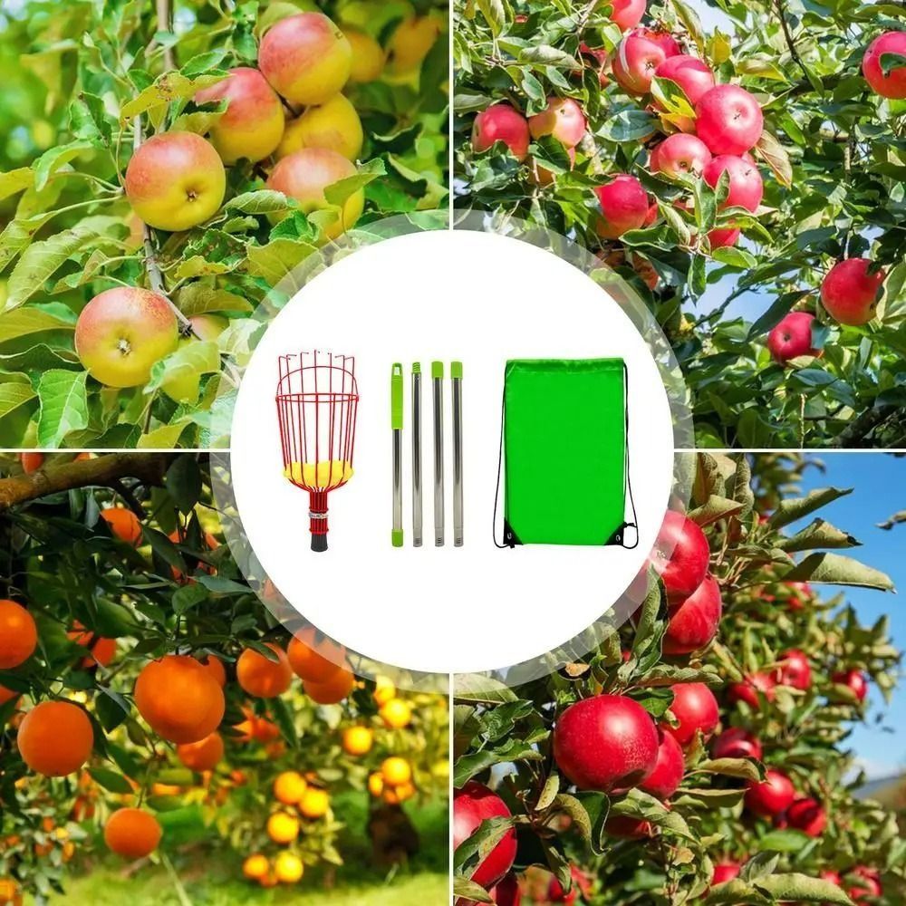 Fruit Picker Basket Telescopic Pole - عصا جمع الفاكهة مع سلة، موفرة